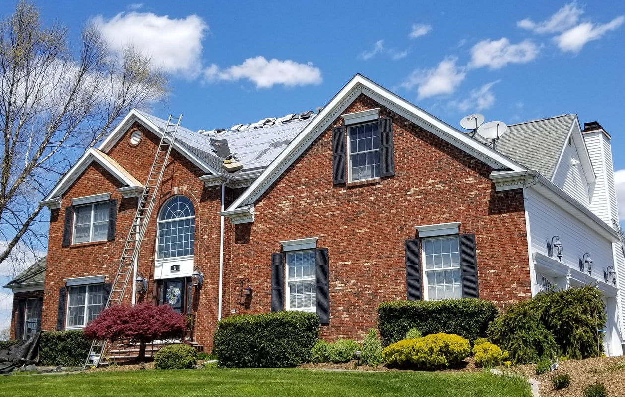 NJ’s Best Roofing Contractors Discuss the Dangers of A Green Roof