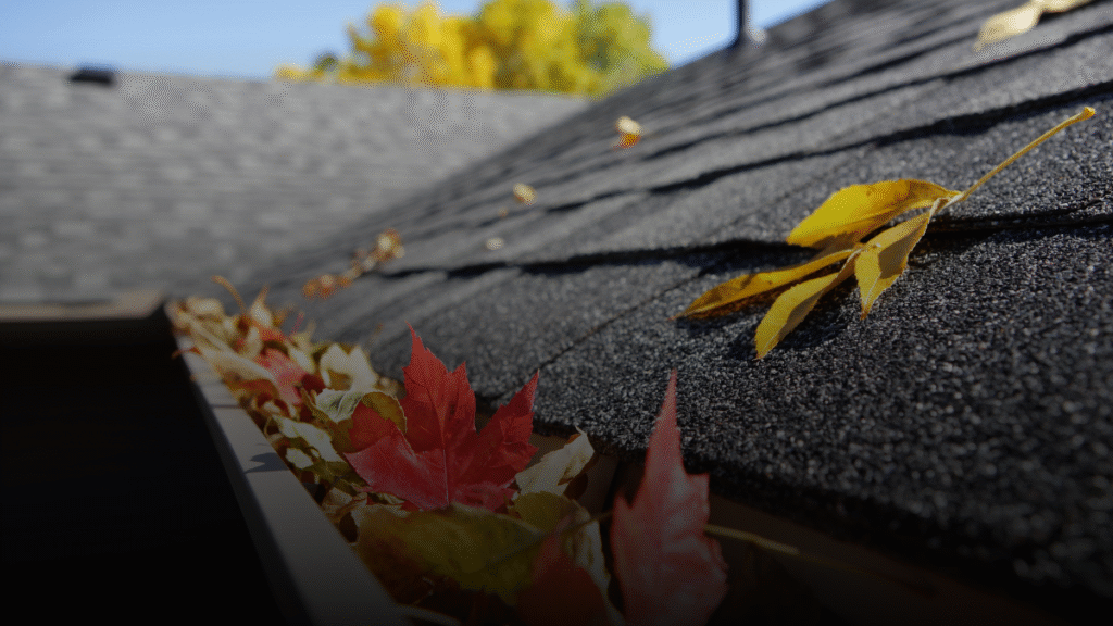 Fall Gutter Cleaning Tips for Commercial Roof Protection 1