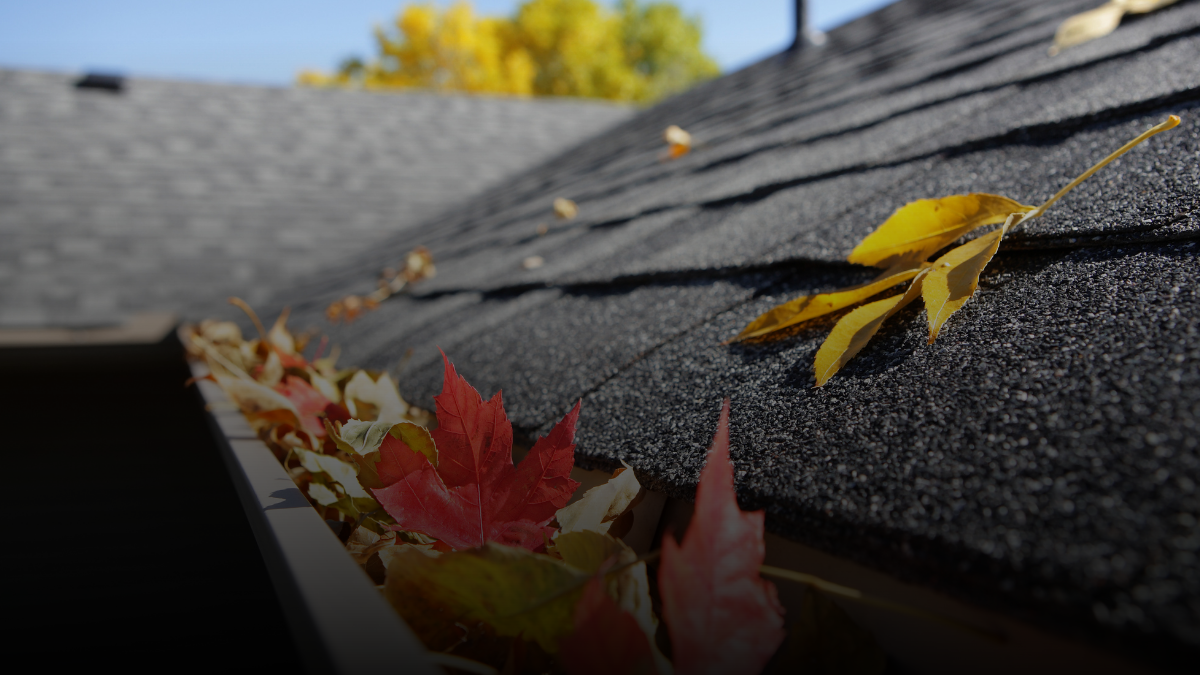 Fall Gutter Cleaning Tips for Commercial Roof Protection