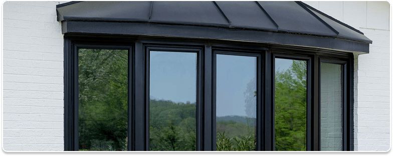 ProVia windows